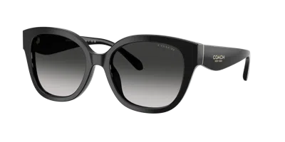 Coach Woman Sunglass Hc8438u Cby94 In Black