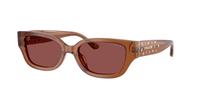 COACH COACH WOMAN SUNGLASSES HC8439U CBZ52