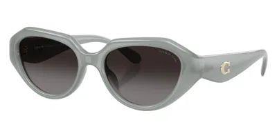 Coach Women's 52 Mm Milky Merlot Sunglasses In Green