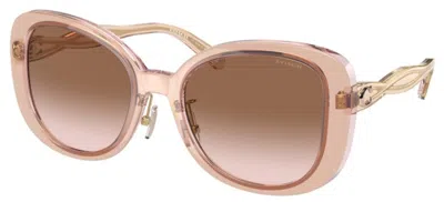 Coach Women's 53mm Transparent Blush Sunglasses In Pink