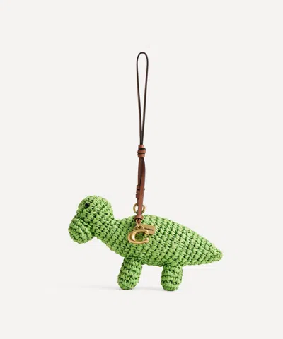 Coach Women's Straw Dino Bag Charm In Brass/multi