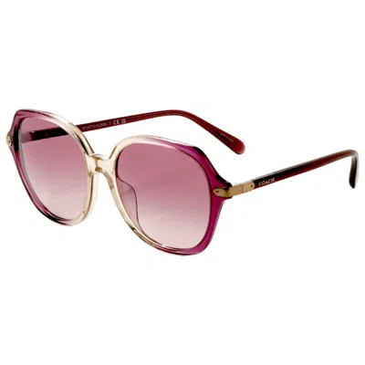 Coach Women's Sunglasses In Pink