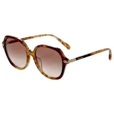 Coach Women's Sunglasses In Brown