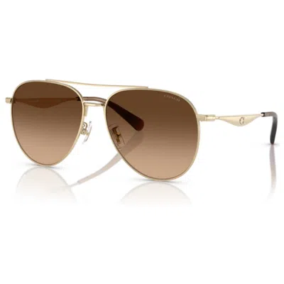 Coach Women's Sunglasses In Brown