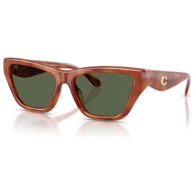 Coach Women's Sunglasses In Brown