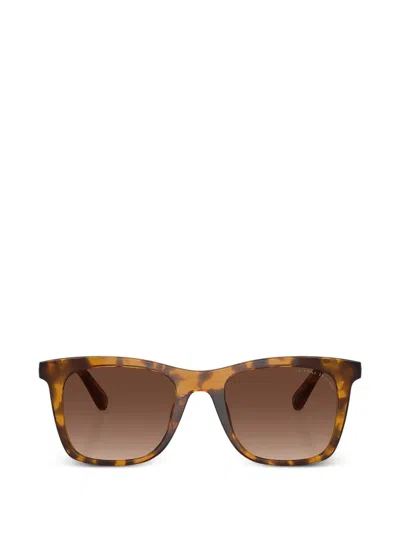 Coach X Disney 玳瑁纹效果方框太阳眼镜 In Brown
