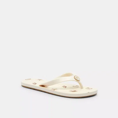Coach Zayn Flip Flop With Shell Print In White