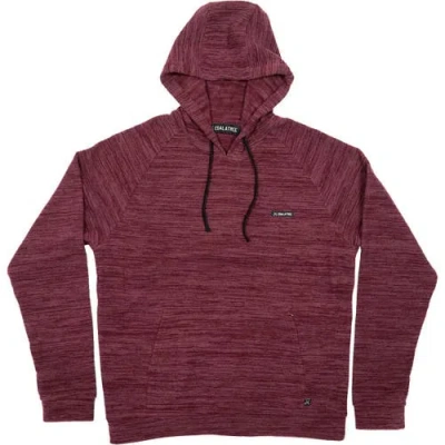 Coalatree Unisex Evolution Hoodie In Burgundy