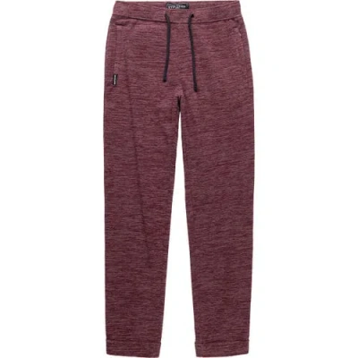 Coalatree Unisex Evolution Jger In Burgundy