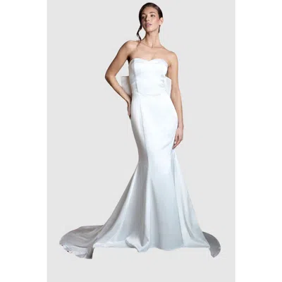 Coast Bow Fishtail Dress In White