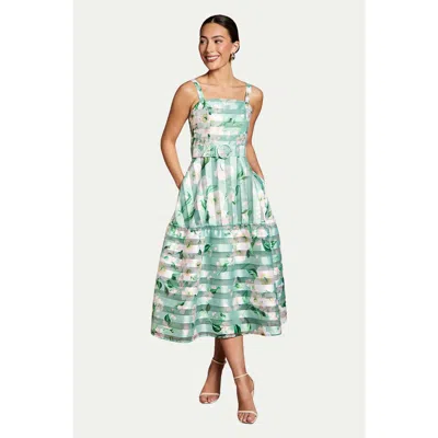 Coast Burnout Organza Midi Dress In Green