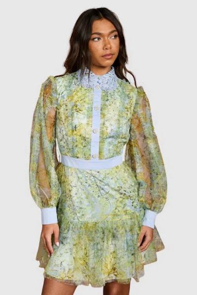 Coast Collared Mini Dress In Green