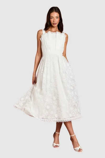 Coast Embroidered Lace Midi Dress In White