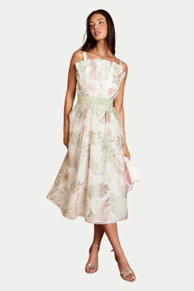 Coast Fan Bodice Embroidered Mesh Midi Dress In White