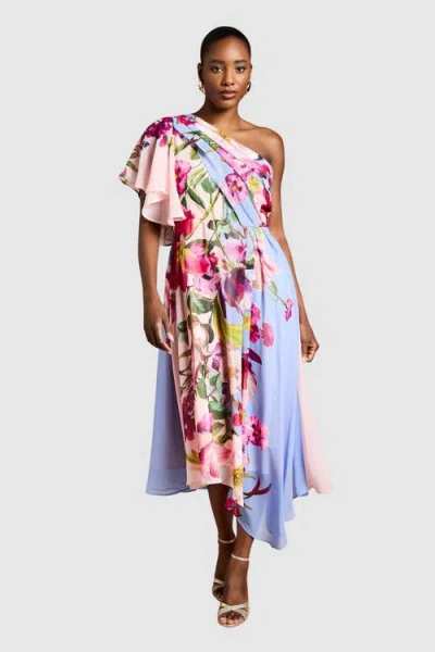 Coast Floral Printed Chiffon Dress In Multi