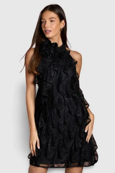 Coast Lace Frill Mini Dress In Black
