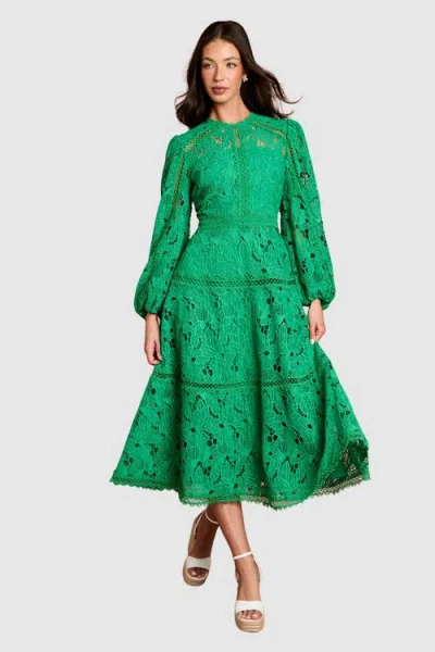Coast Lace Panel Long Sleeve Midi Dress In Multi
