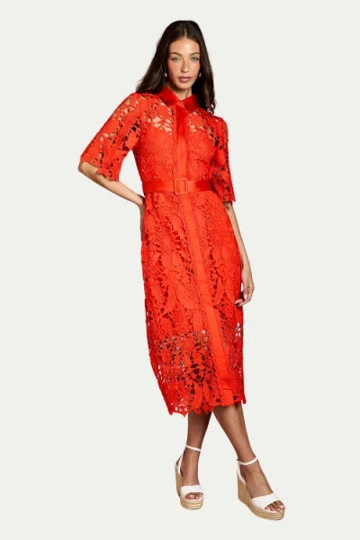 Coast Lace Short Sleeve Shirt Dress In Red