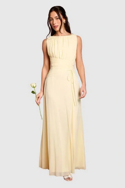 Coast Mesh Ruched Waist Maxi Dress In White