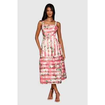 Coast Petite Floral Organza Midi Dress In Multi