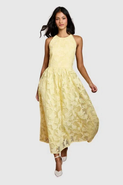 Coast Petite Halterneck Lace Midi Dress In Yellow