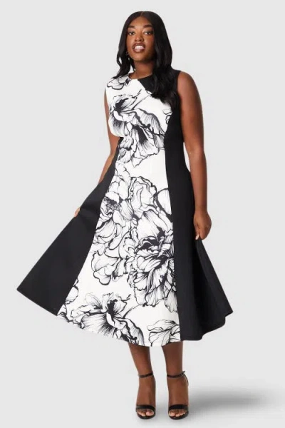 Coast Plus Colour Block Scuba Midi Dress In Multi