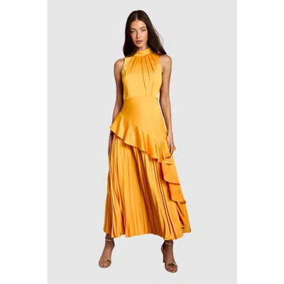 Coast Satin Crepe High-neck Pleated Maxi Dress In Orange