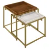 COASTER BOLDEN 2-PIECE SQUARE NESTING TABLE WITH RECESSED TOP GOLD