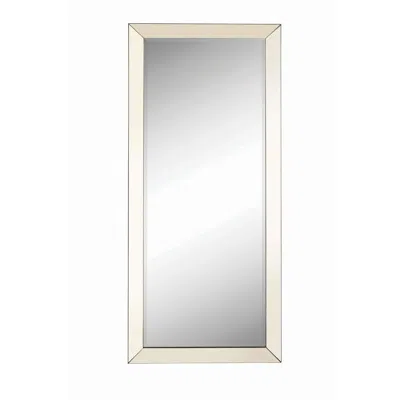 Coaster Co. Of America Barnett Rectangular Floor Mirror Silver In White