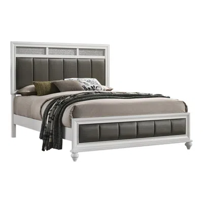 Coaster Co. Of America Barzini Queen Upholstered Panel Bed White In Gray