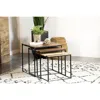 Coaster Co. Of America Belcourt 3-piece Square Nesting Tables Natural And Black
