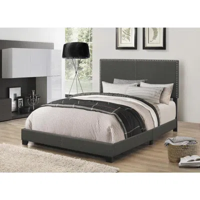 Coaster Co. Of America Boyd Queen Upholstered Bed With Nailhead Trim Charcoal In Black