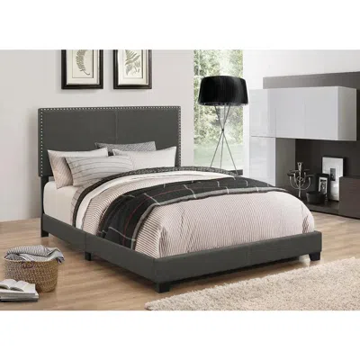 Coaster Co. Of America Boyd Twin Upholstered Bed With Nailhead Trim Charcoal