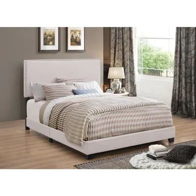Coaster Co. Of America Boyd Twin Upholstered Bed With Nailhead Trim Ivory