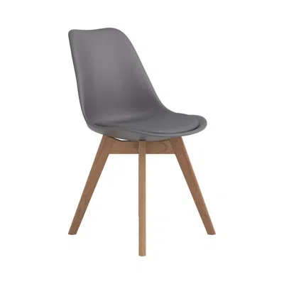 Coaster Co. Of America Caballo Upholstered Side Chairs Grey (set Of 2) In Gray