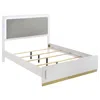 Coaster Co. Of America Caraway Wood Queen Led Panel Bed White In White
