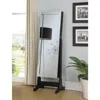 Coaster Co. Of America Cortez Storage Jewelry Cheval Mirror Black