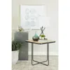 Coaster Co. Of America Elyna Square Accent Table Travertine And Black