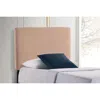 Coaster Co. Of America Gigi Rectangular Upholstered Headboard