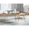 Coaster Co. Of America Kaelyn 2-piece Mirror Top Nesting Coffee Table Mirror And Gold