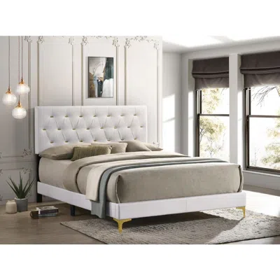 Coaster Co. Of America Kendall Tufted Upholstered Panel Queen Bed White