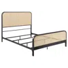 Coaster Co. Of America Lanewood Open Cane Webbing Metal Queen Bed Black