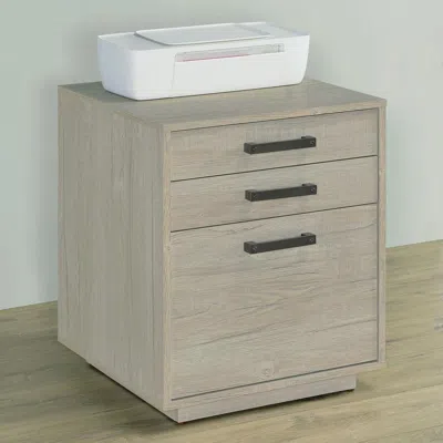 Coaster Co. Of America Loomis 3-drawer Square File Cabinet Whitewashed Grey
