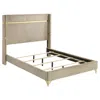 Coaster Co. Of America Lucia 61-inch Upholstered Queen Wingback Bed Beige