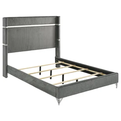 Coaster Co. Of America Lucia 61-inch Upholstered Queen Wingback Bed Grey