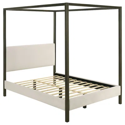 Coaster Co. Of America Monroe Upholstered Queen Canopy Bed Vanilla In Black