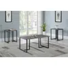 Coaster Co. Of America Nyla 3-piece Occasional Set Weathered Grey And Black