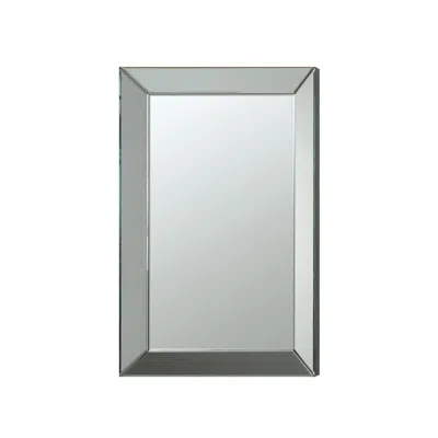 Coaster Co. Of America Pinciotti Rectangular Beveled Wall Mirror Silver In Metallic