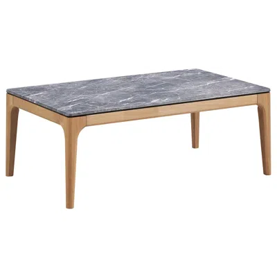 Coaster Co. Of America Polaris Rectangular Smarttop Coffee Table Grey And Light Oak