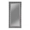 Coaster Co. Of America Rollins Rectangular Floor Mirror Black